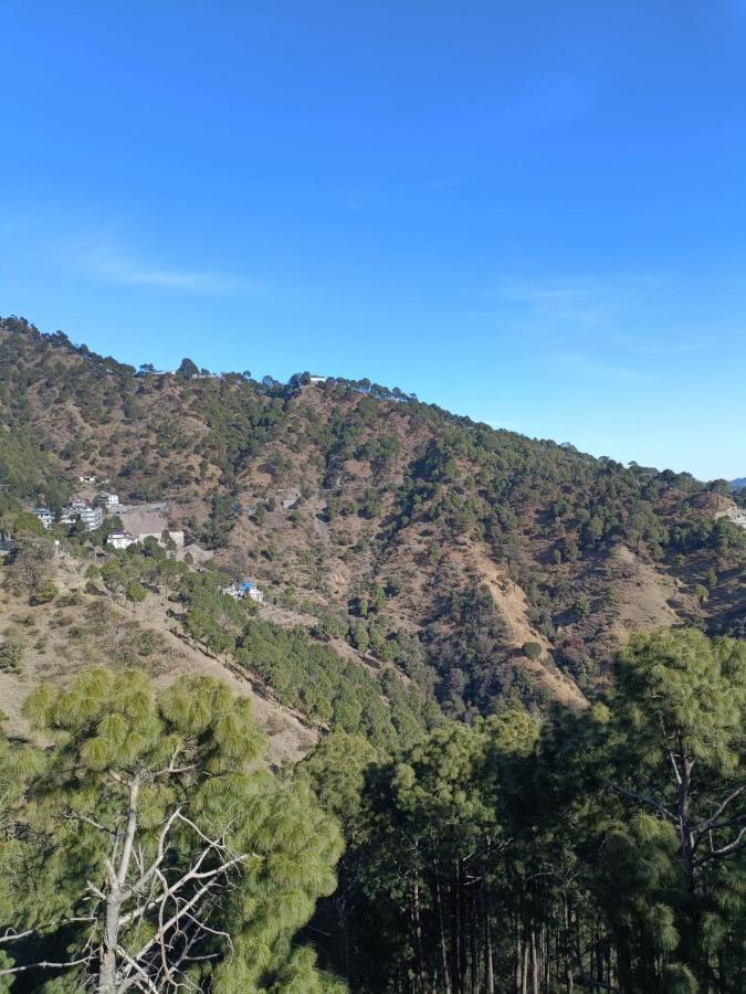 The Lalita'S Majestic Pines Bed & Breakfast Kasauli Exterior photo